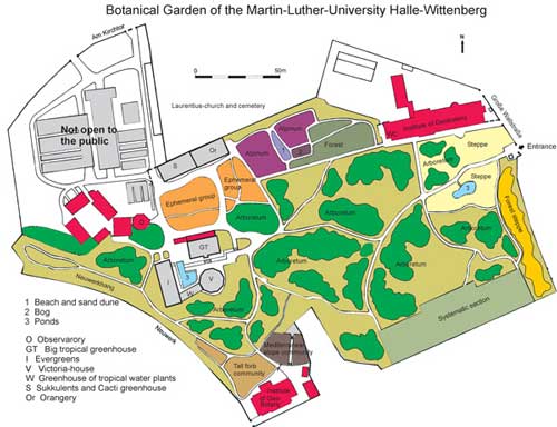 Current Organisation Of The Botanical Garden Halle